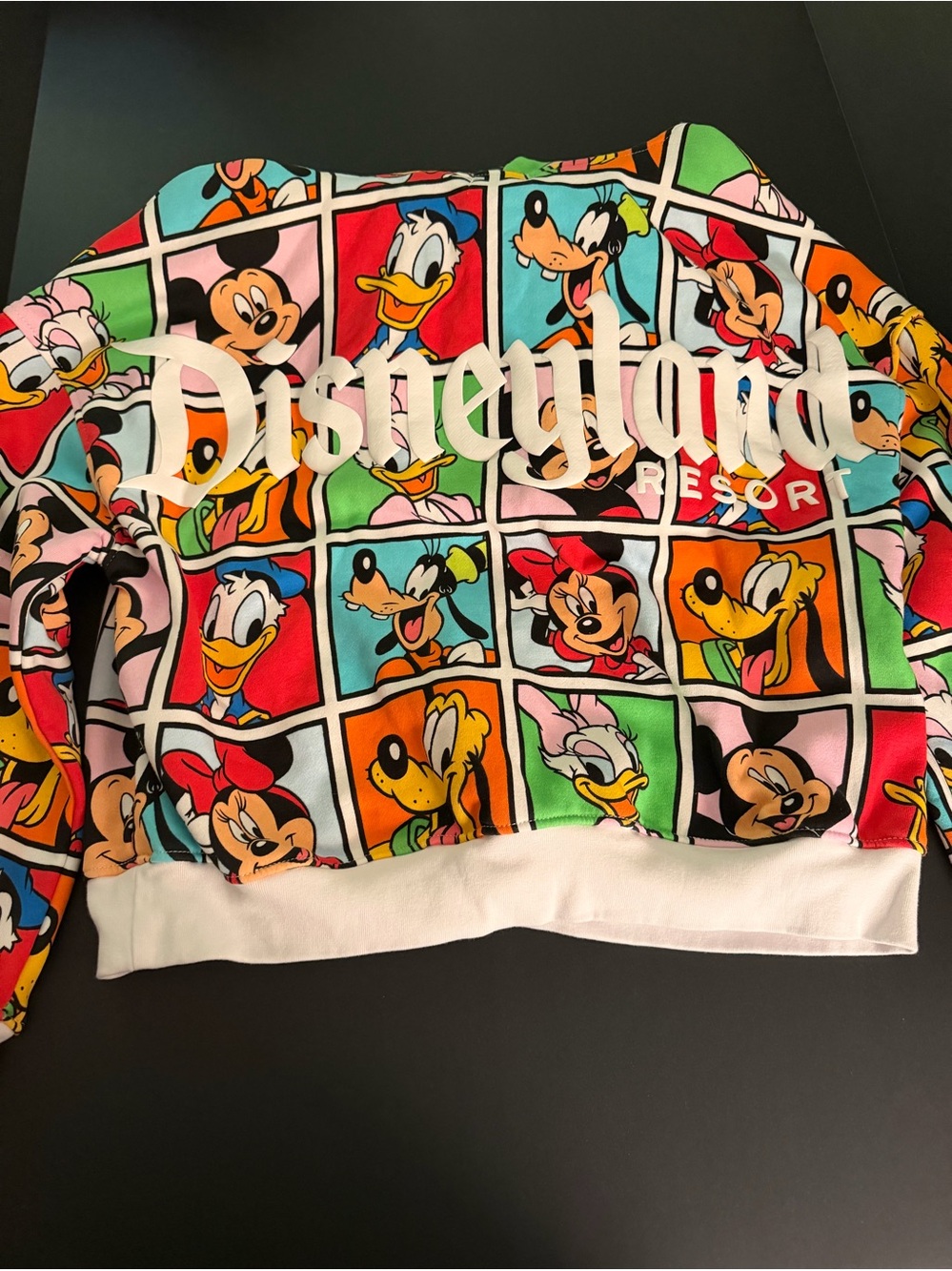 Disneyland Resort Colorblock Disney Characters Sweatshirt Size Small